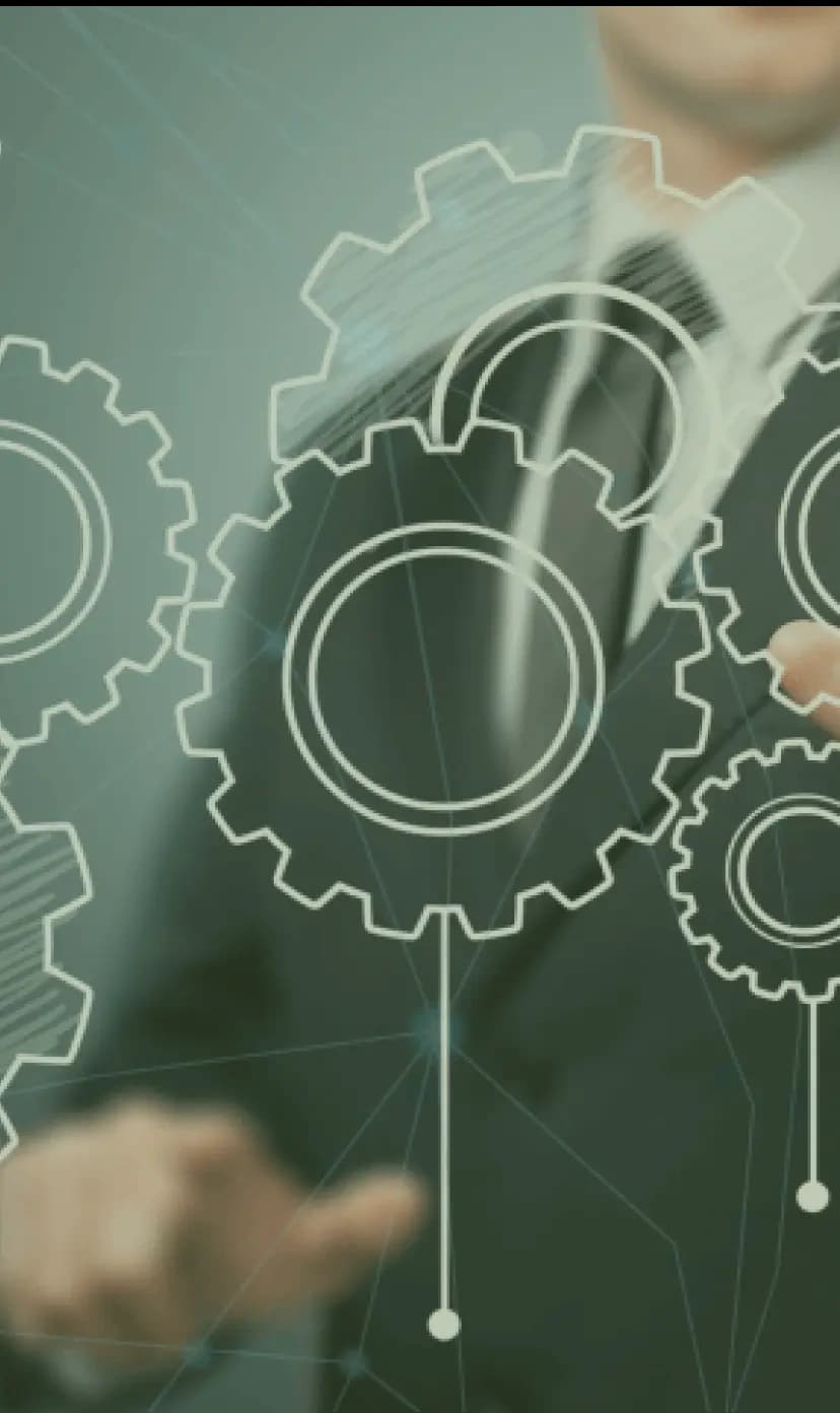Implementation Strategy Efficiency & Growth